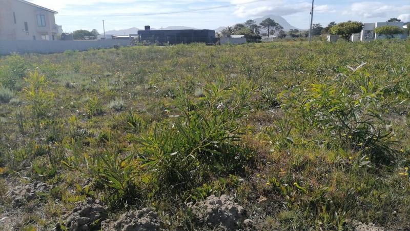 0 Bedroom Property for Sale in Fisherhaven Western Cape